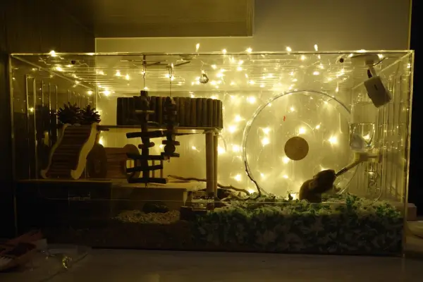 Terrário de hamster com iluminação LED clara e suave – uso de luz artificial adequada para hamsters em ambientes internos é sempre com temporizador para não atrapalhar a saúde do seu pet.