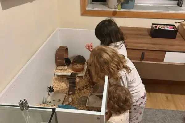 Terrário em ambientes com crianças: três crianças pequenas observam e exploram um terrário baixo sem supervisão, ilustrando a importância da segurança ao integrar elementos naturais no espaço infantil.