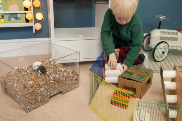 Terrário em ambientes com crianças: garotinho cria brinquedos de sucata para interagir com seu hamster, estimulando criatividade, cuidado animal e aprendizado lúdico dentro de casa.