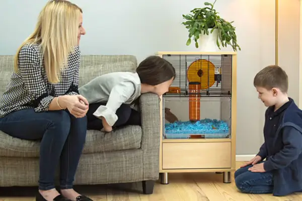 Terrário em ambientes com crianças: mãe e dois filhos observam juntos um terrário na sala de estar, promovendo interação familiar, educação ambiental e conexão com a natureza dentro de casa.