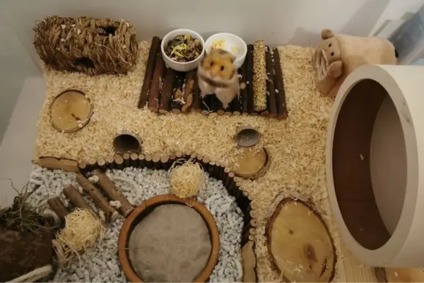 Terrário com enriquecimento ambiental para hamsters, incluindo brinquedos, túneis, rodas de exercício e esconderijos
