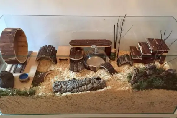 Terrário ideal com enriquecimento ambiental para hamsters, organizado e equipado com brinquedos, esconderijos e substrato adequado para estimular comportamentos naturais.