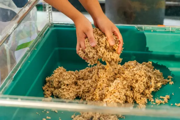 Substituição da cama do hamster para evitar acúmulo de urina e bactérias.