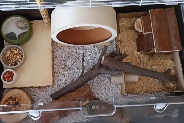 terrário limpo com substrato novo